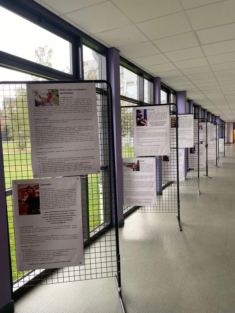 Stop aux stéréotypes, fais le métier qu’il te plaît !